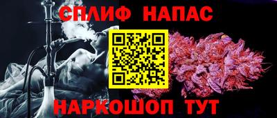 шишки Будённовск